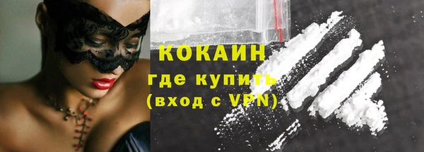 прущие грибы Кохма