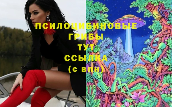 индика Сафоново
