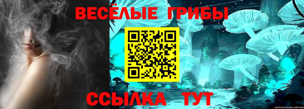 Кушва  Псилоцибиновые грибы мухоморы  Галлюциногенные грибы GOLDEN TEACHER  Вход с VPN 