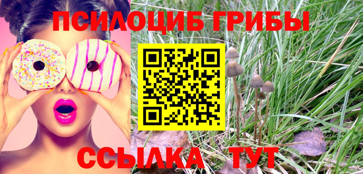 где продают наркотики  Кушва  Псилоцибиновые грибы Magic Shrooms 
