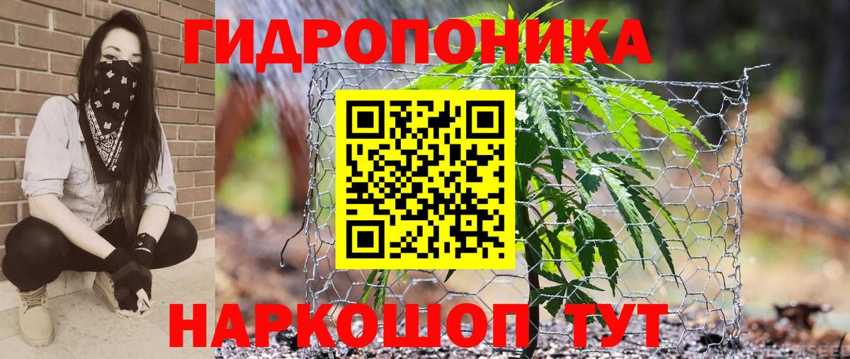 Бошки Шишки LSD WEED  МАРИХУАНА Bruce Banner  Вход с VPN  Кушва  МАРИХУАНА конопля  Марихуана сатива 